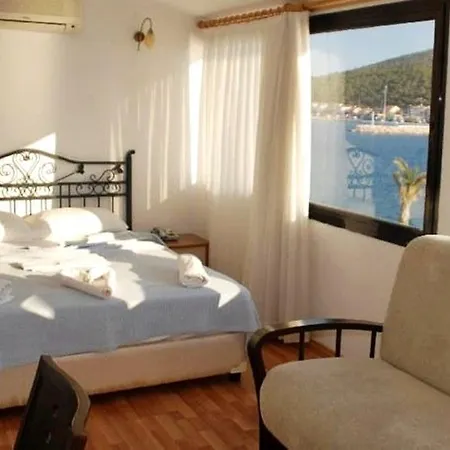 Отель Kerman 3*