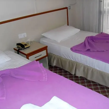 Kerman Hotel 3*